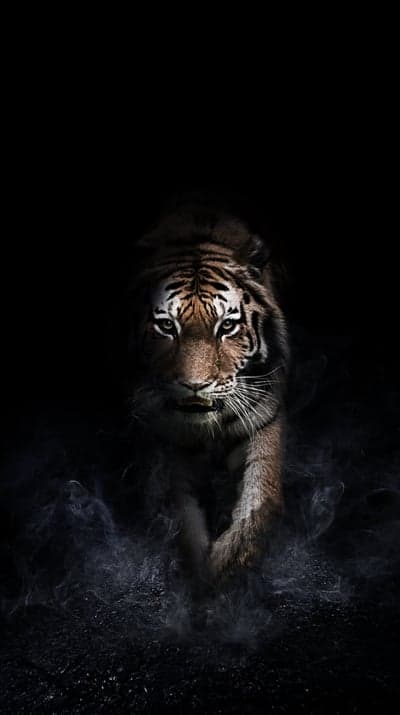 Majestic Tiger Emerging from Dark Smoke