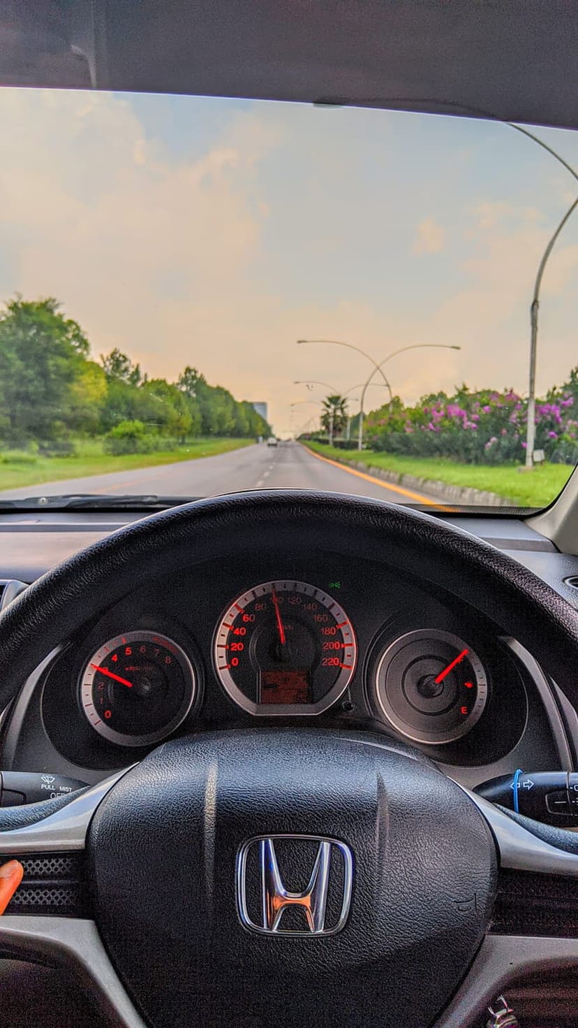 Honda steering wheel and dashboard view of a highway lined with purple flowers under a warm cloudy sky.