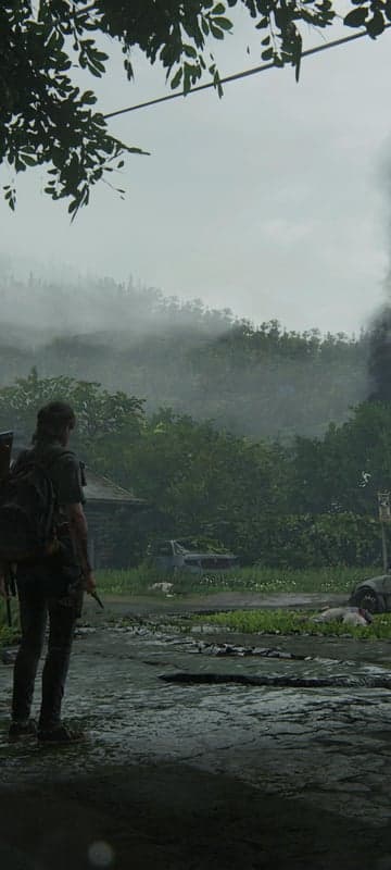 Ellie surveys a foggy, post-apocalyptic landscape with smoke plume