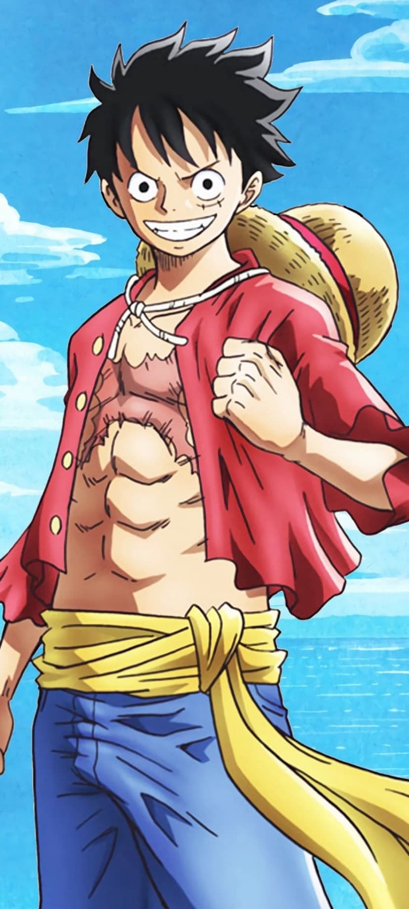 Monkey D. Luffy wearing a straw hat and red vest stands before a blue sky and ocean on a sunny day.