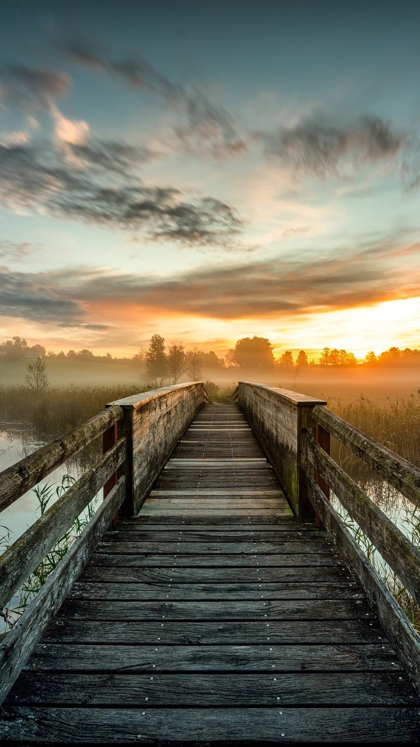 Weathered wooden boardwalk stretching into a misty marshland under a vibrant pink and orange sunrise sky.