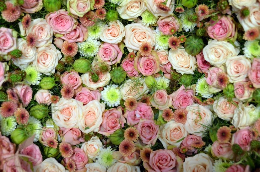 Pink and white roses cluster together with green leaves and small buds in a dense, romantic floral arrangement.