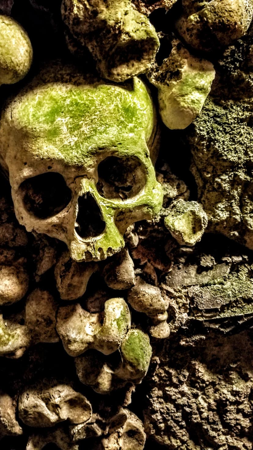 Human skull covered in green moss lies amidst scattered skeletal bones and dark, jagged stones in an ossuary.
