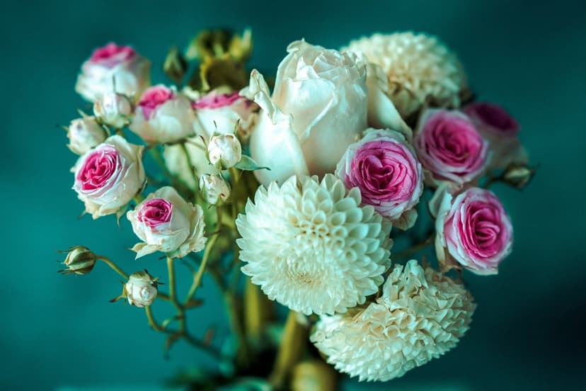 Pink roses with deep magenta centers and white dahlias are arranged against a smooth, dark teal background.