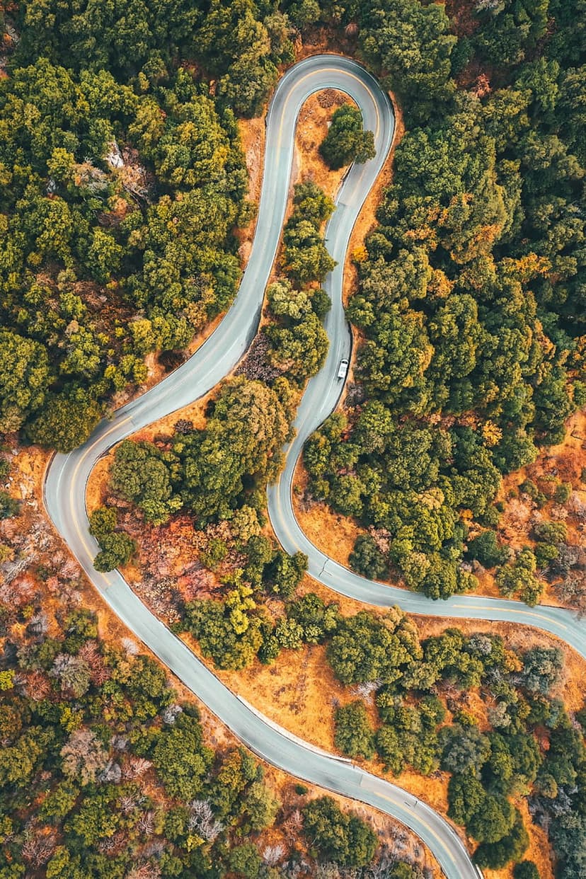 Winding asphalt road with a white car curves through a dense forest of orange and green autumn trees from above.