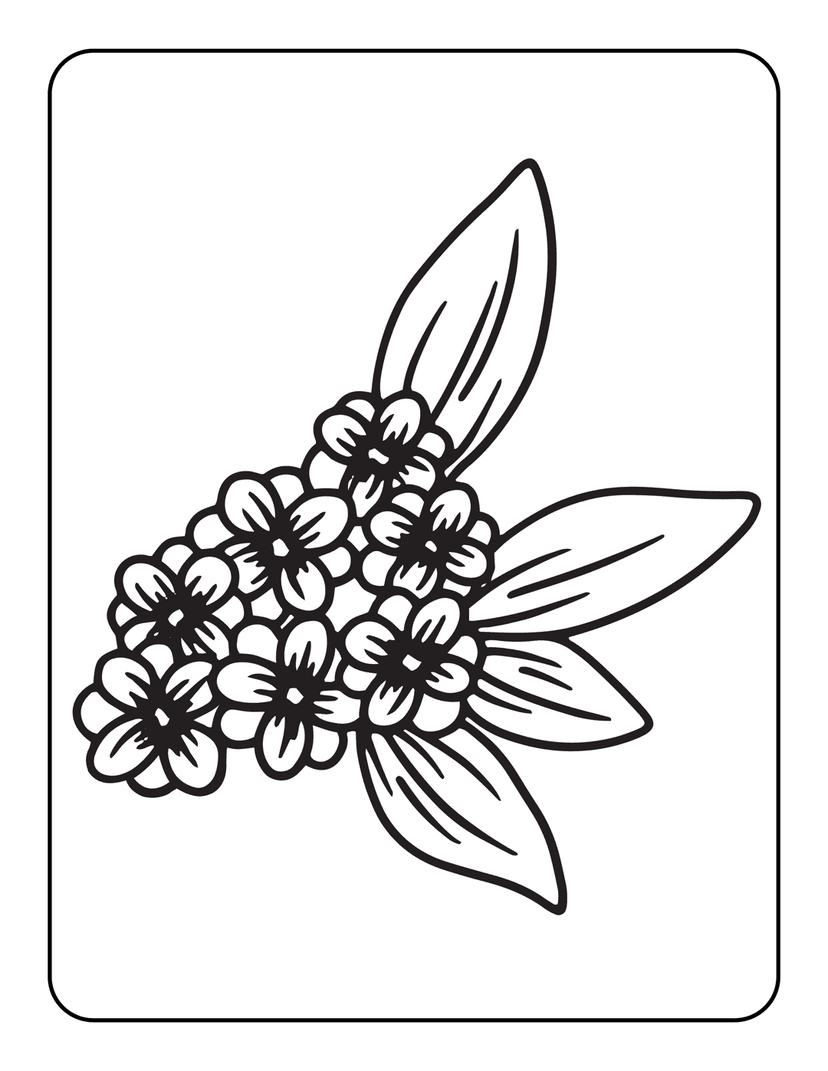 Botanical flower coloring page outline featuring sharp black ink line art of petals and pointed garden leaves.