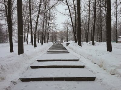 Serene Snow-Covered Forest Stairs Phone Wallpaper