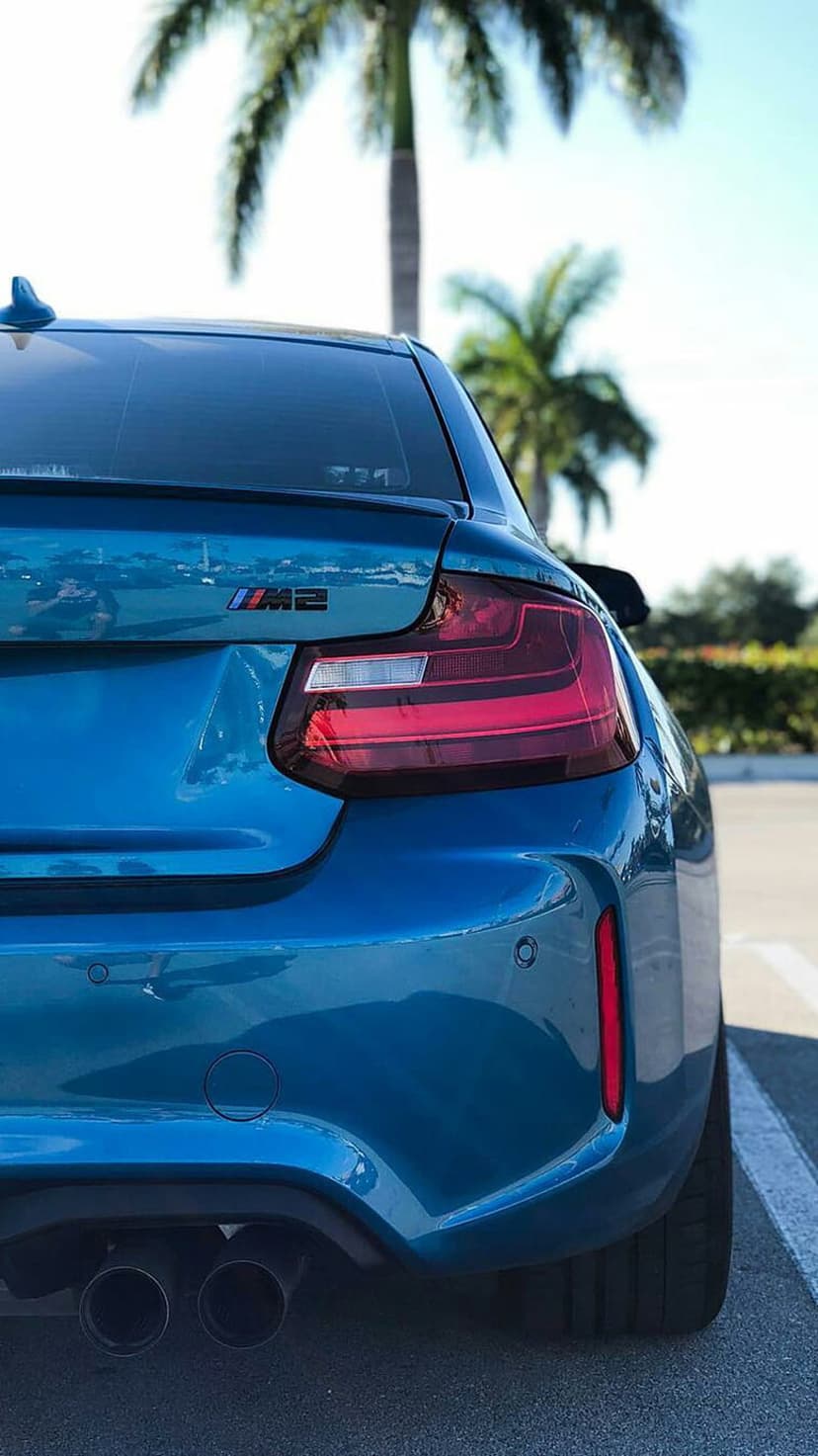 Blue BMW M2 rear bumper and taillights framed by green palm trees against a bright, clear summer sky.