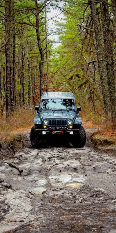 Jeep Off-Roading Through Muddy Forest Trail