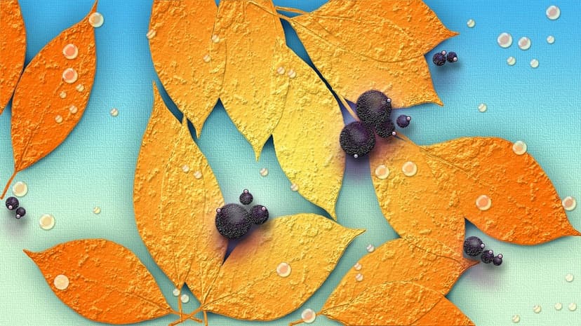 Orange and yellow leaves with dark berries and clear water droplets set against a soft blue sky backdrop.