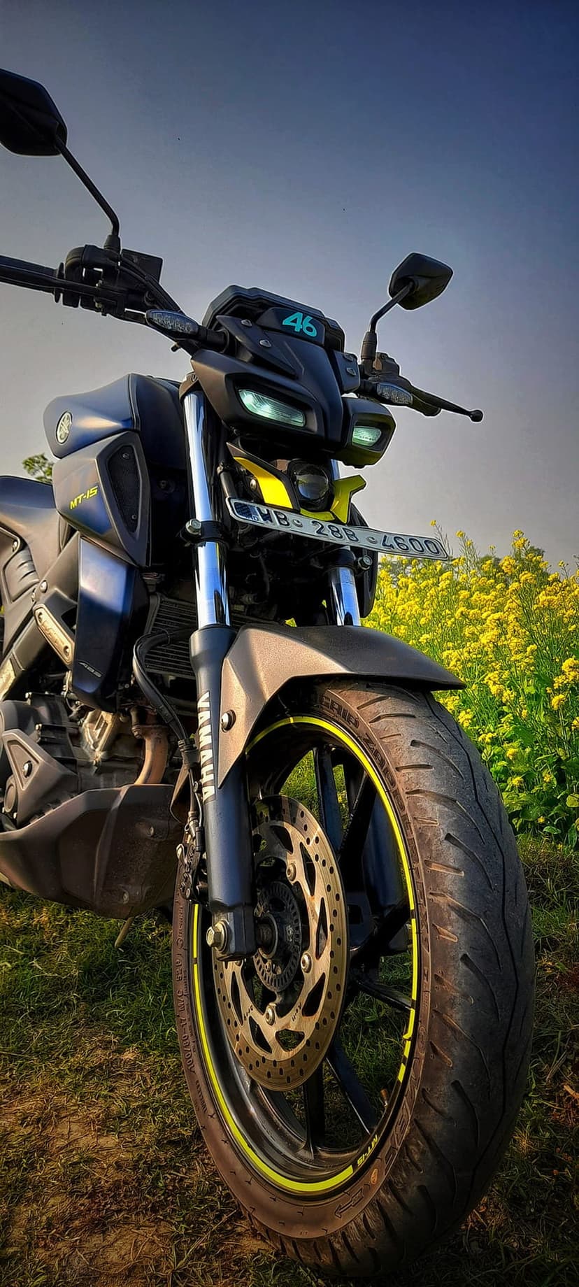 Black Yamaha MT-15 motorcycle with yellow wheel rims parked in a field of blooming yellow flowers at dusk.