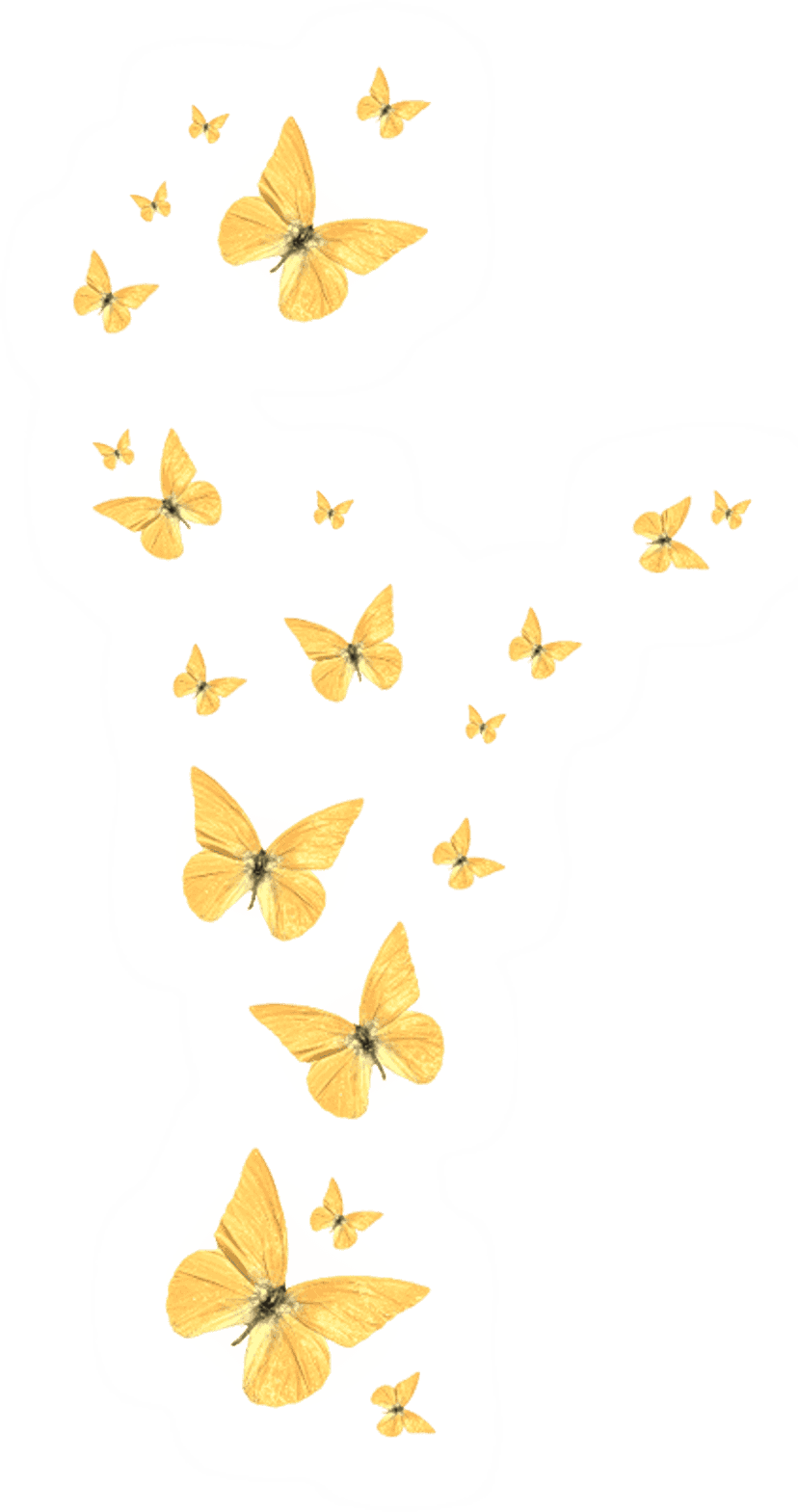 Yellow butterfly golden frame features ornate metallic scrollwork and symmetrical winged insects on a transparent background.