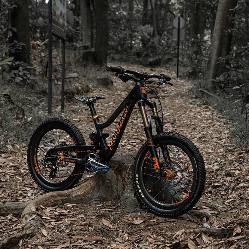 Mountain bike with orange accents stands on a stump in a muted forest, showing knobby tires and suspension.