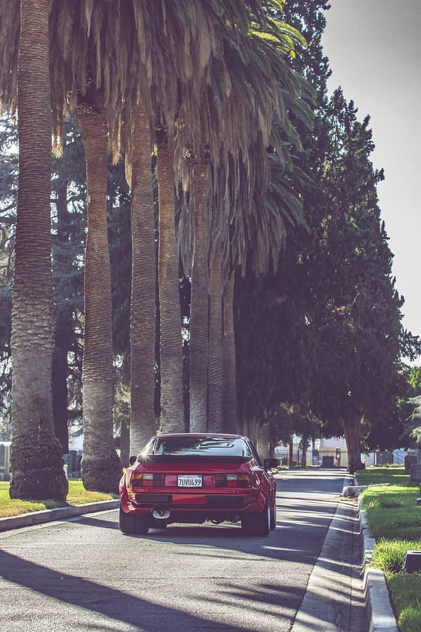 Red vintage Porsche rear view driving on a scenic road between tall palm trees under bright summer sunlight.