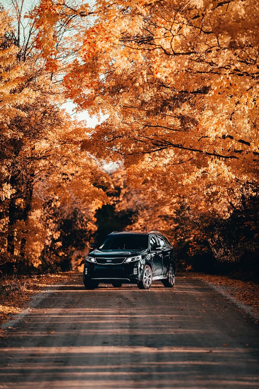 Black SUV driving on a dirt road surrounded by orange and yellow autumn trees under filtered sunlight.