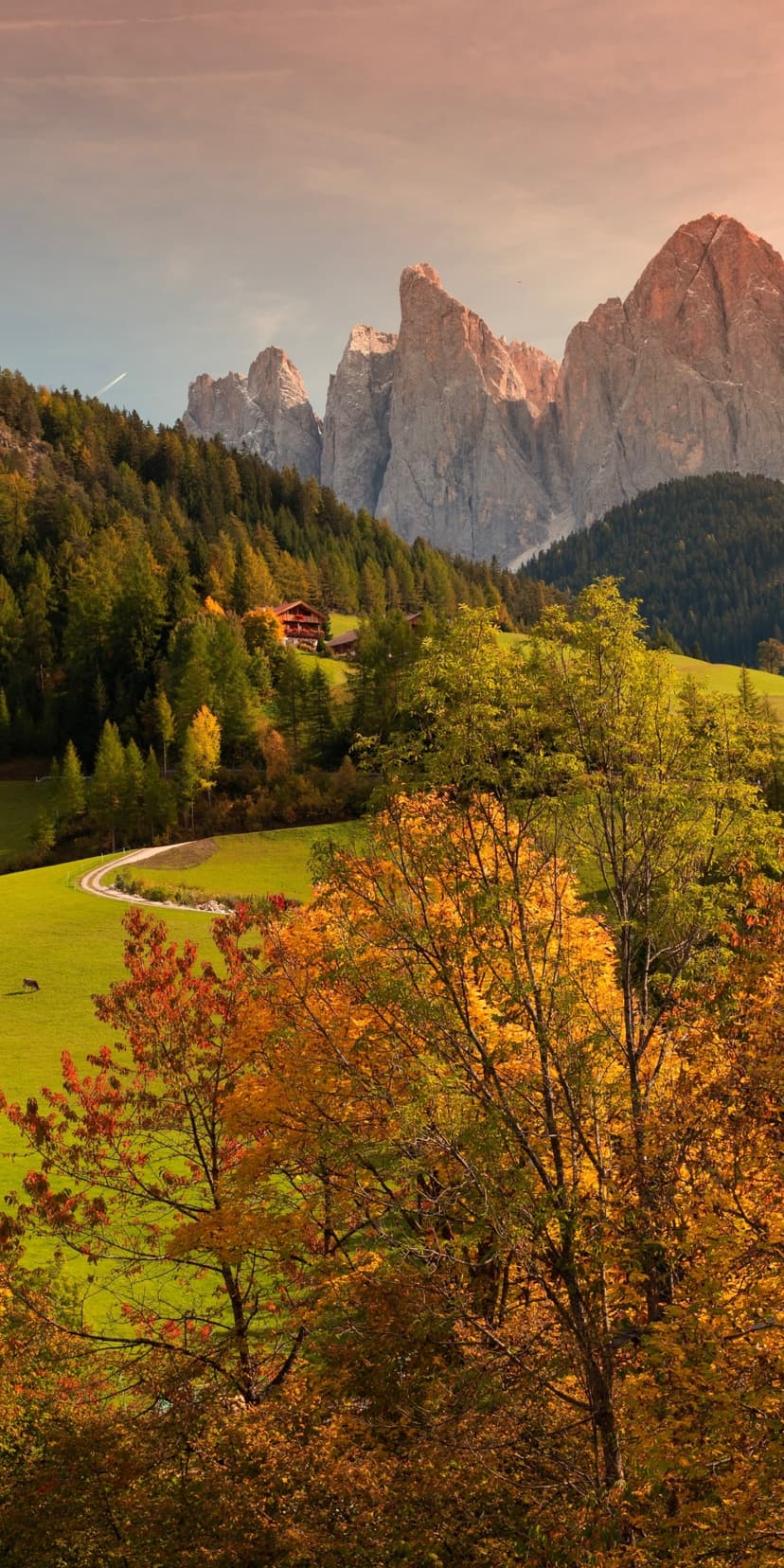 A rustic wooden house sits in a valley of orange autumn trees below sharp grey limestone mountain peaks.