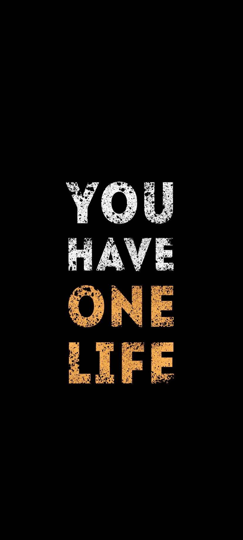 Bold text reading YOU HAVE ONE LIFE in distressed white and orange fonts centered on a plain black background.