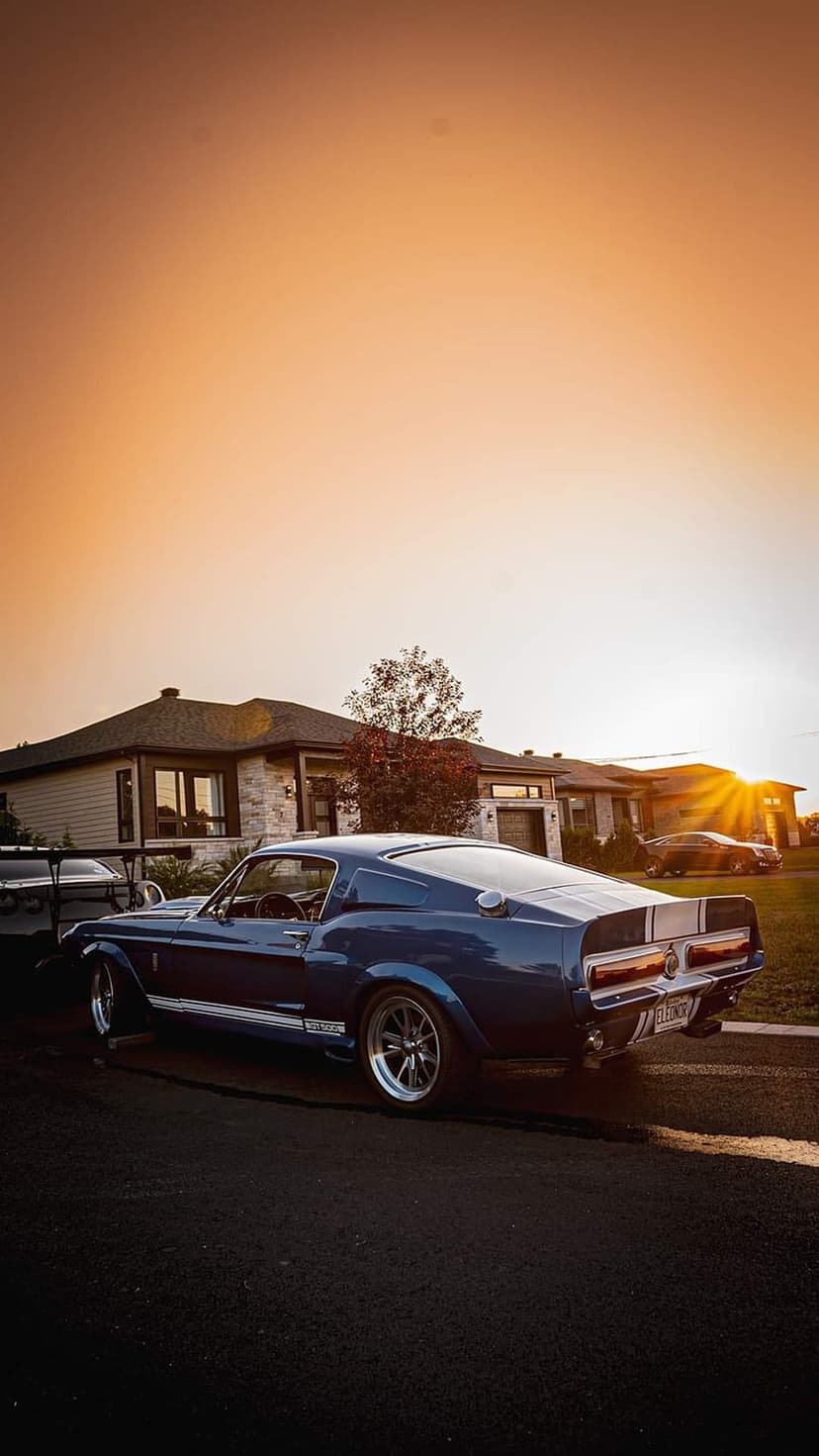 Blue Shelby GT500 Mustang parked on a driveway in front of modern houses during a golden hour sunset scene.