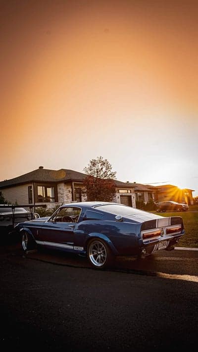 Blue Shelby GT500 Mustang Sunset Mobile Wallpaper HD