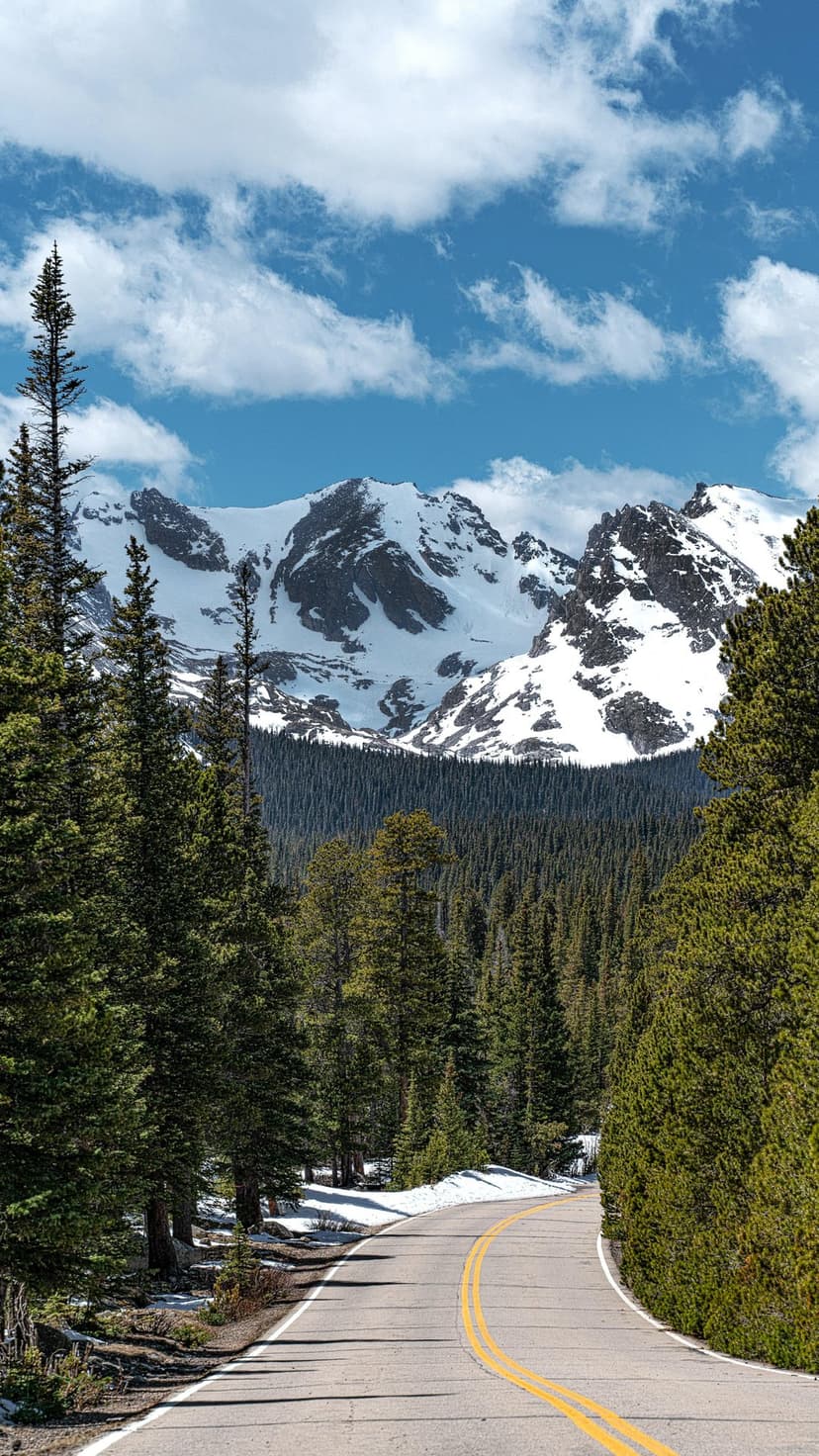 Winding asphalt road with yellow lines leading through a pine forest toward sunlit snow-capped mountain peaks.