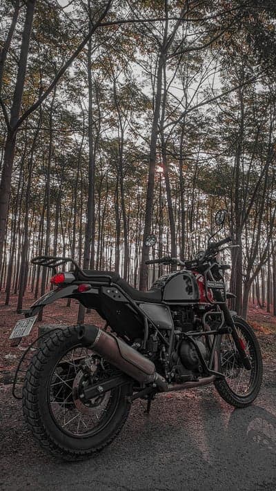 Motorcycle parked in a dense forest with sun rays