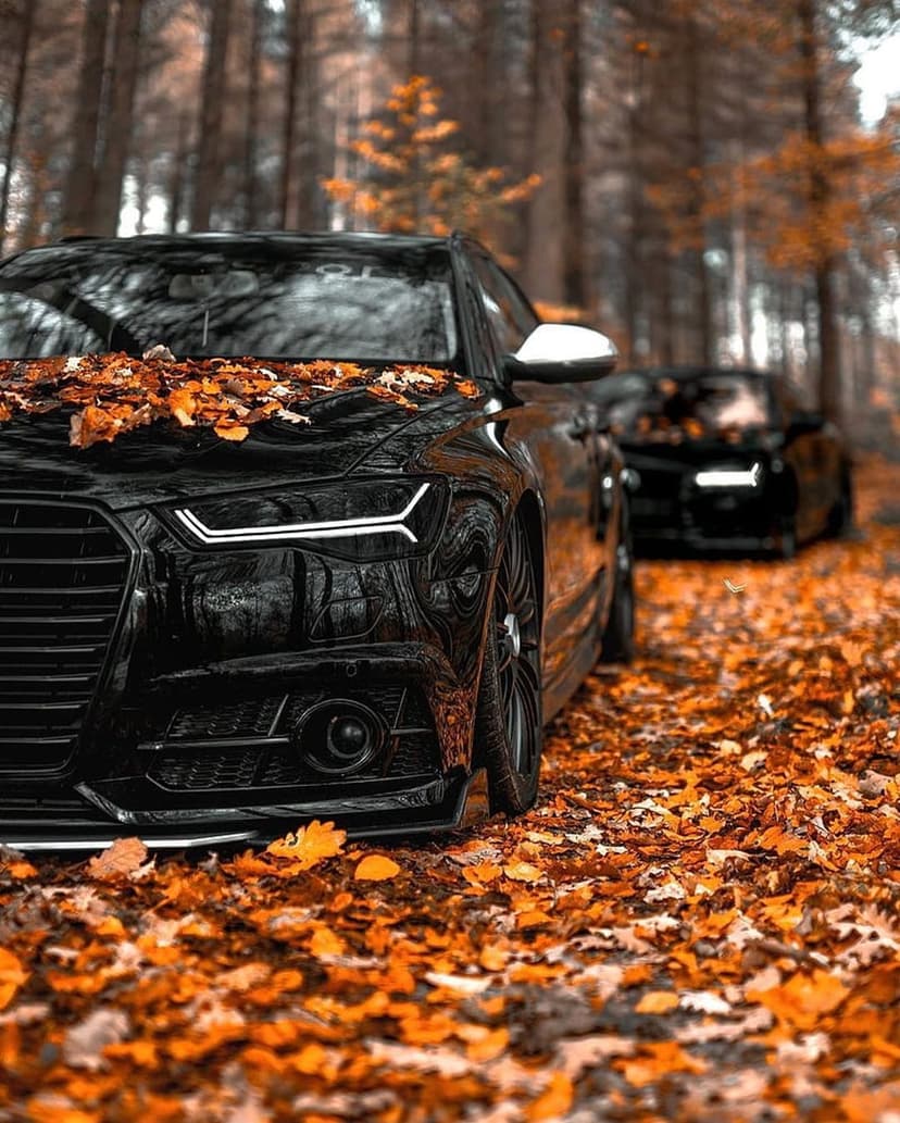 Black luxury sedan parked on a narrow dirt road covered in bright orange and brown fallen autumn leaves.