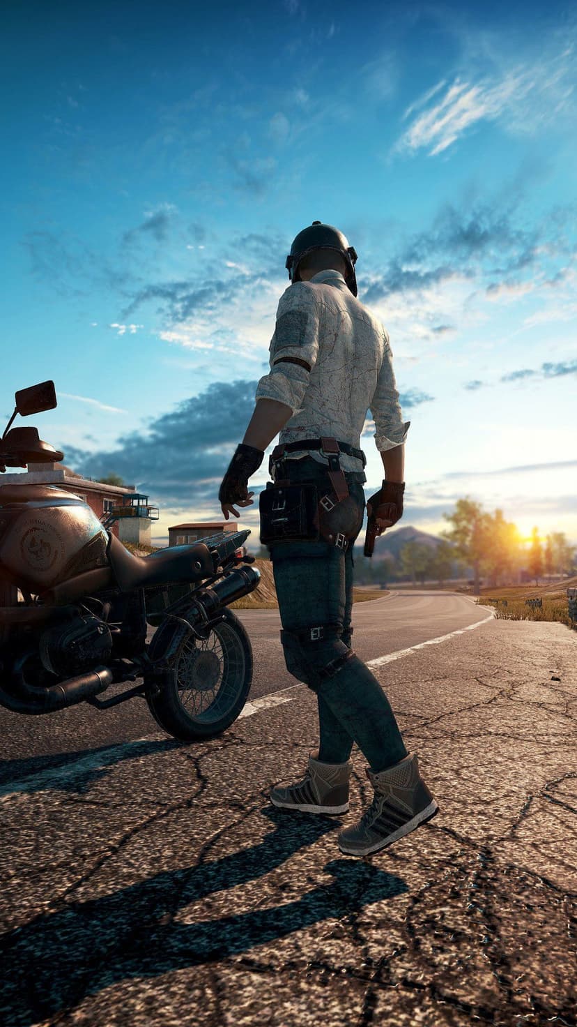 Tactical survivor holding a rifle beside a motorcycle on rugged terrain beneath a dramatic, cloudy sunset sky.
