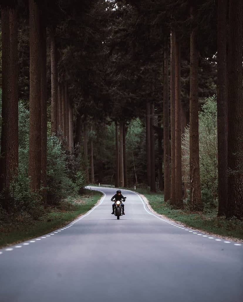 Motorcyclist in a helmet riding along a winding paved road between towering dark trees in a dense forest.
