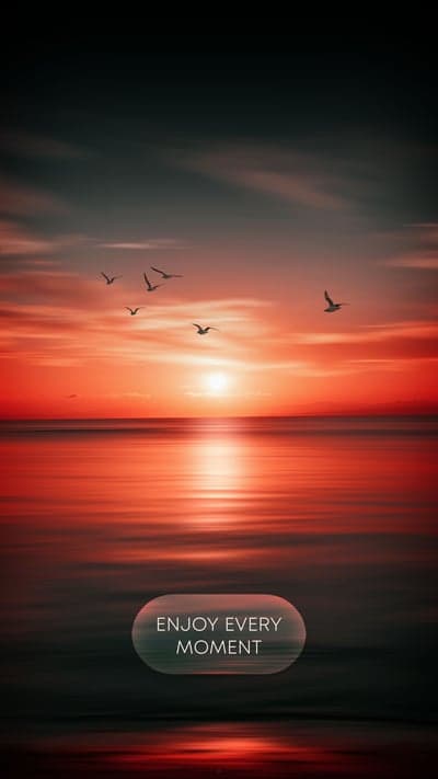 Fiery Coastal Sunset and Seagulls Mobile Screen Background