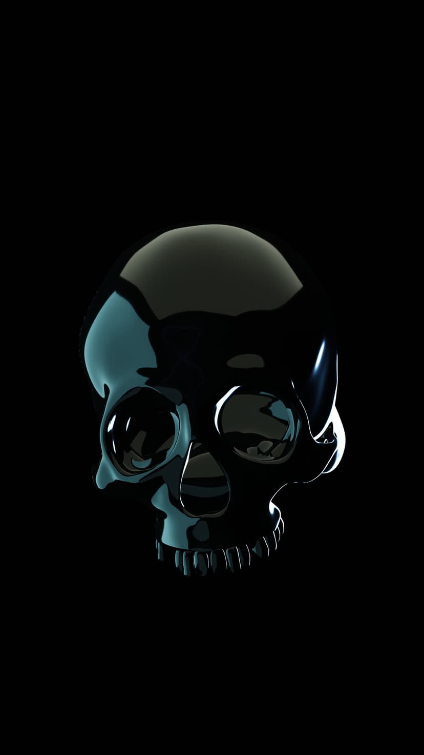 Polished black skull with reflective highlights centered against a solid dark void in a vertical composition.
