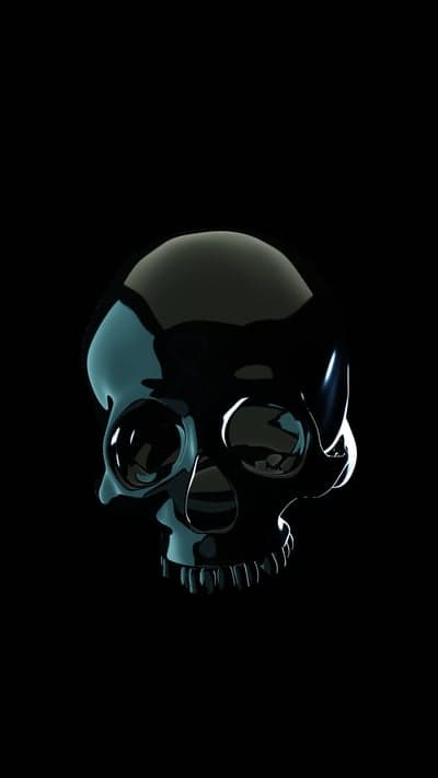 Glossy Black Skull on Black Background Wallpaper