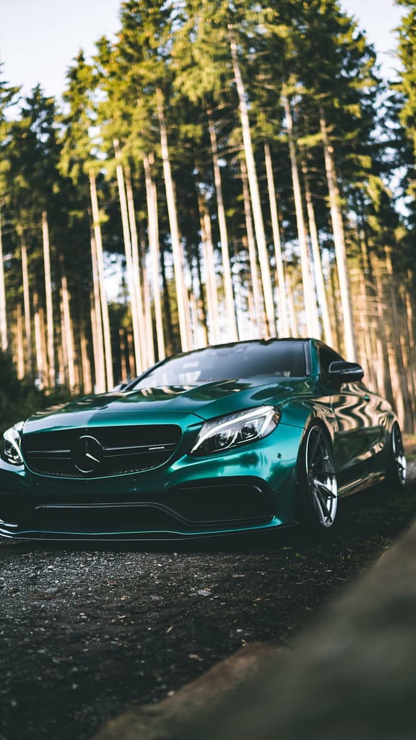Emerald green Mercedes coupe on a gravel road surrounded by tall pine trees and dappled forest sunlight.