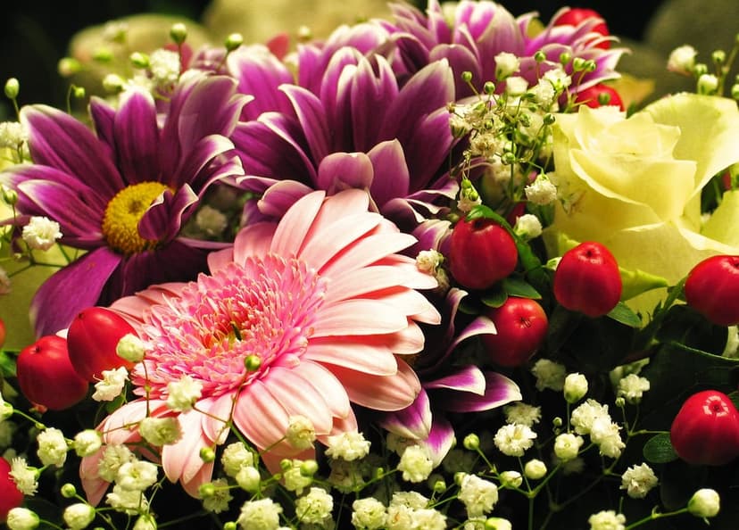 Pink gerbera daisy and yellow rose petals overlap with purple chrysanthemums and tiny red berries in a bouquet.