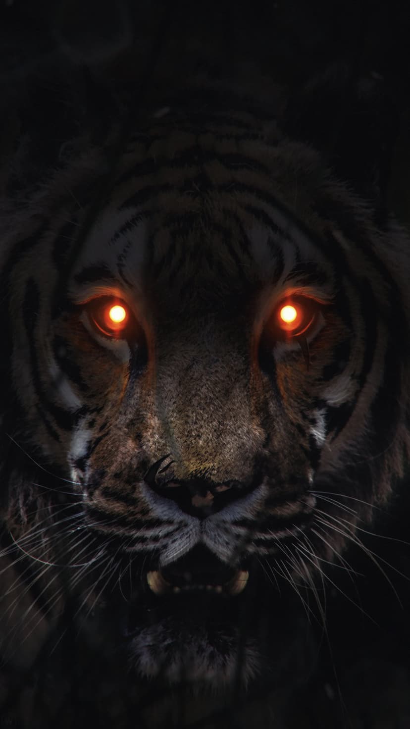Tiger's face with glowing orange eyes peering out from dark shadows in a close-up animal portrait.