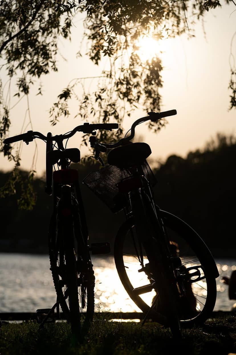 Bicycles silhouetted against a golden sunset reflecting on water, framed by leafy branches from above.