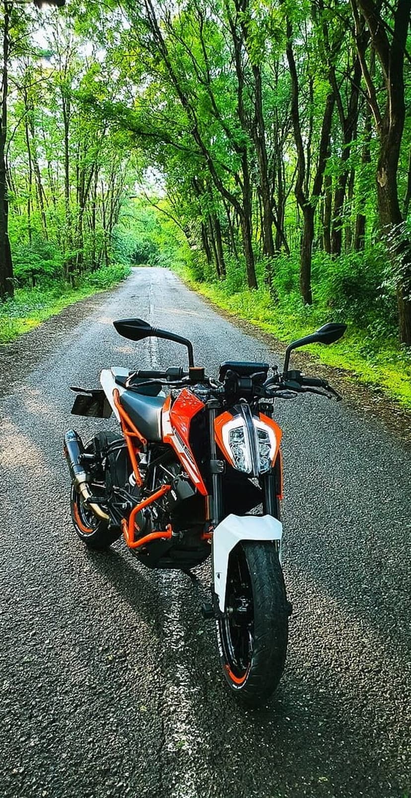 Orange KTM Duke motorcycle parked on a paved road surrounded by a dense green forest with dappled sunlight.