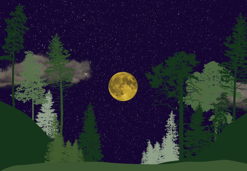 Luminous full moon shines over layered silhouettes of pine trees and rolling hills beneath a star-filled sky.