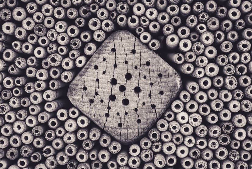 Cardano ADA logo on a cracked wood square surrounded by numerous small circular beads in black and white.