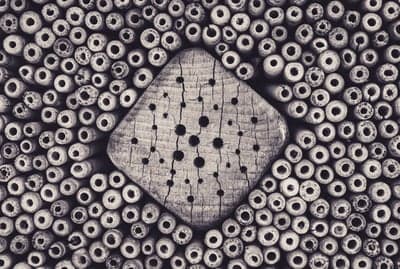 Cardano ADA Logo on Distressed Wood Mobile Wallpaper