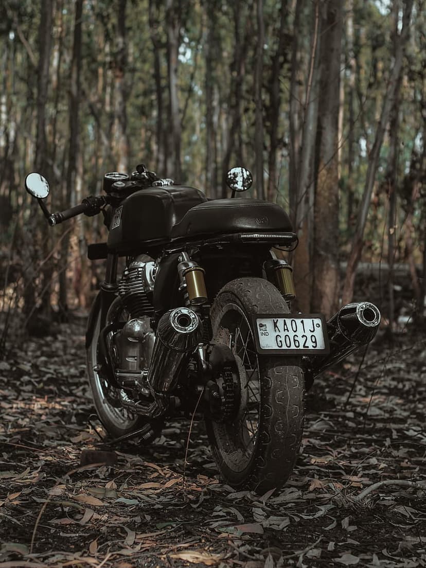 Vintage motorcycle with chrome exhaust parked on fallen brown leaves in a dark, misty forest with tall trees.