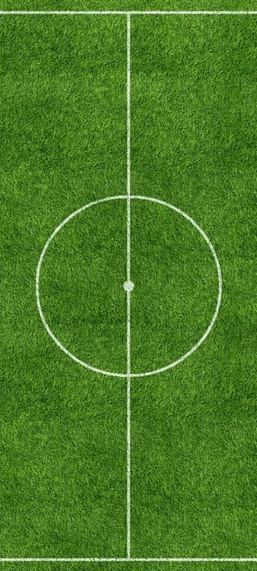 Top-down view of a soccer field's center circle