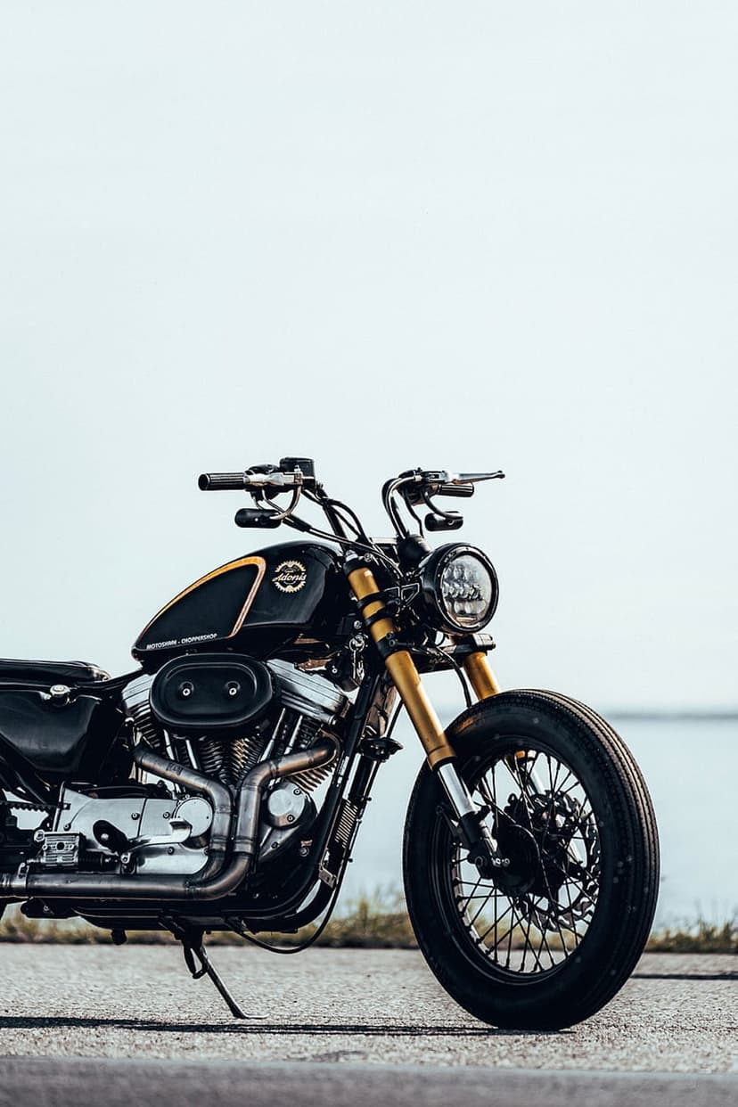 Custom black Harley Davidson Sportster with gold forks parked on asphalt near a calm body of water outdoors.