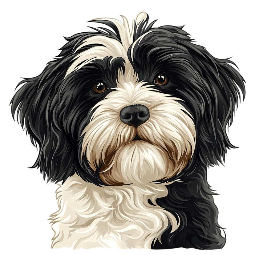 Fluffy black and white dog head illustration with amber eyes, wet nose, and realistic fur against dark space.