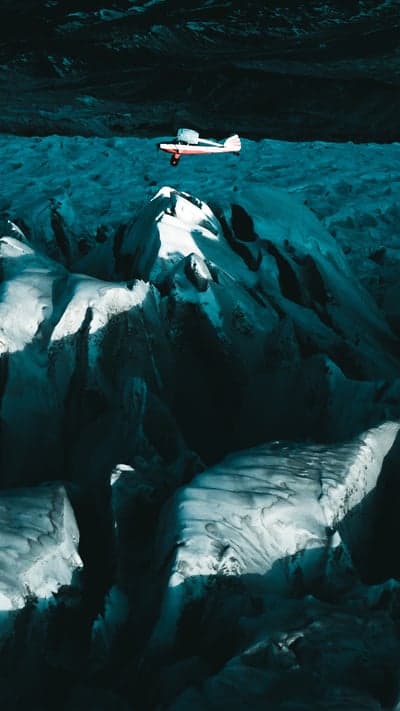 Urban Echoes, Nature's Whisper - A Visual Symphony