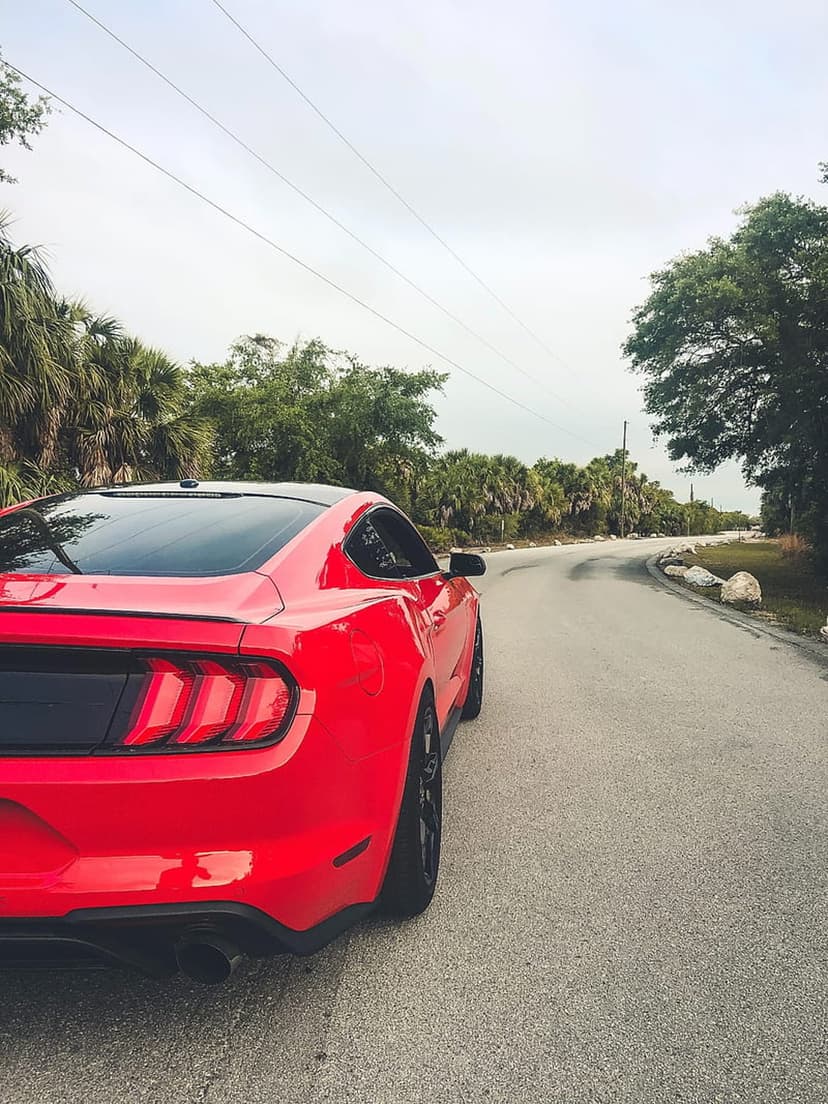 Red Ford Mustang parked on an asphalt road with tropical palm trees and power lines under a soft overcast sky.