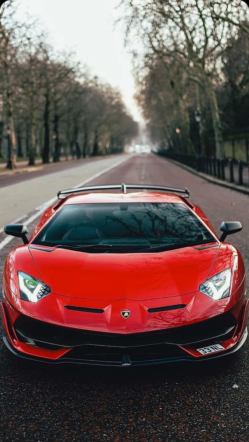 Red Lamborghini Aventador supercar parked on a rural road between bare trees, shown from a low perspective.