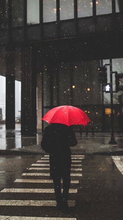 Crimson Canopy in a Winter's Fall - A Solitary Figure's Path