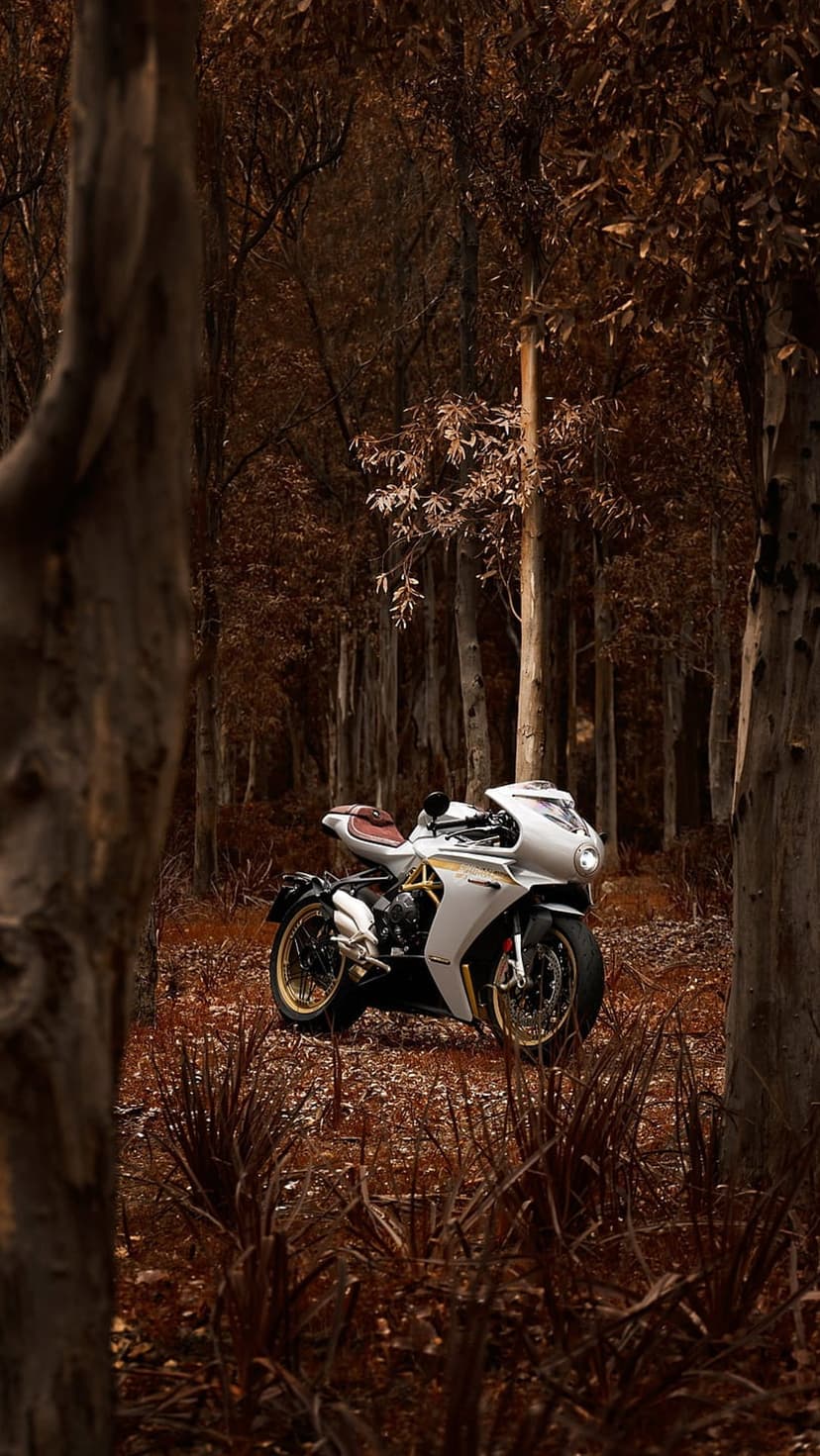 White motorcycle with gold accents parked on a path covered in orange autumn leaves inside a peaceful forest.