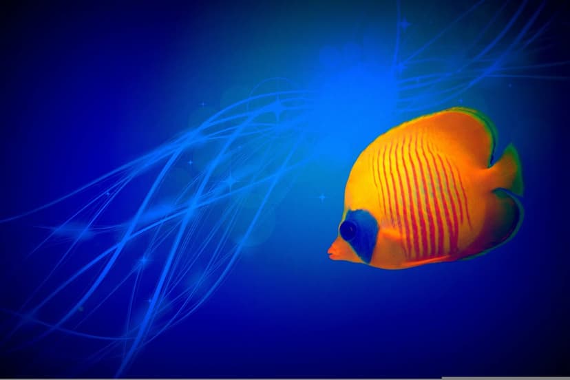 Yellow butterflyfish with orange stripes swims through a dark blue environment with glowing light streaks.