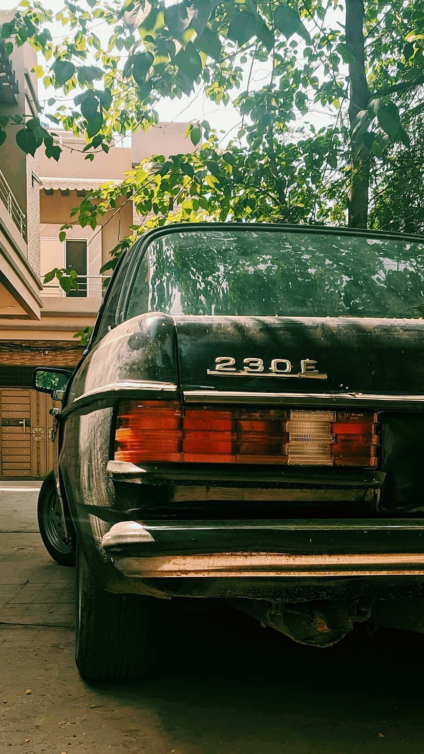 Mercedes-Benz 230E rear view featuring chrome badges, horizontal taillights, and sunlight filtered through leaves.
